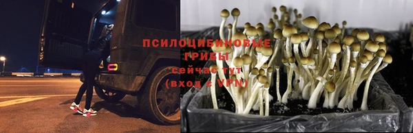 Альфа ПВП Горняк