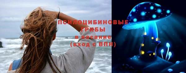 не бодяженный Горно-Алтайск