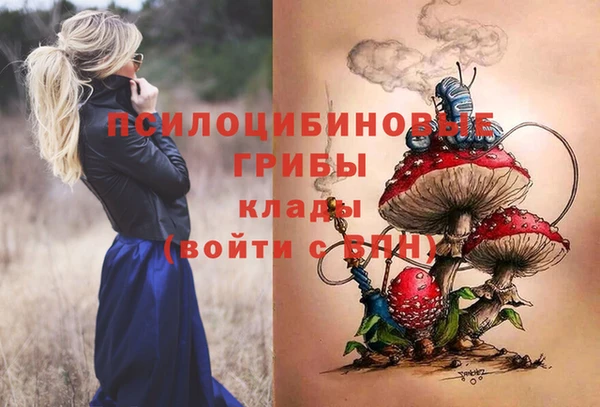 Альфа ПВП Горняк
