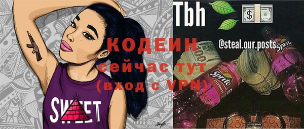 не бодяженный Горно-Алтайск