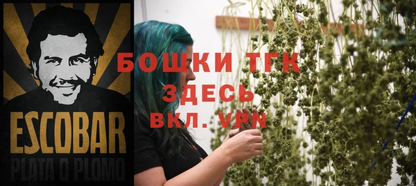МДПВ Горнозаводск