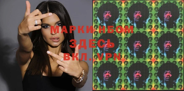 шишки Щигры