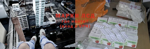 шишки Щигры